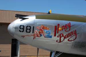 Allied Fighters Honey Bunny P-38